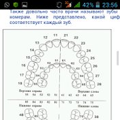 Гульзат Рысбекова