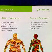 Herbalife   89256299257ватцап