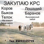 Закупаем Скотину Дорого