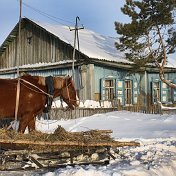 Лариса Зиневич