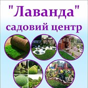 Лаванда САДОВИЙ ЦЕНТР 098-258-14-40