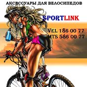 SportLink Belarus