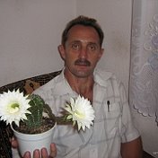 Владимир Николаев