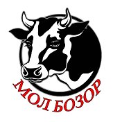 МОЛБОЗОР 🐄🐄🐄