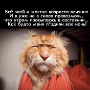 Котик Обормотик