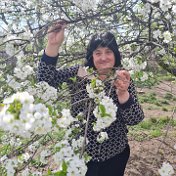 LUDMILKA CHEREDNICHENKO DIACHENKO