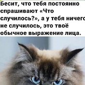 🐾Ксю 🐱🐾