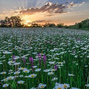 🌺сафура🌺 уразаева🌺🌺