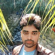 Md Arif Hosen