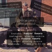 кинолог Никита