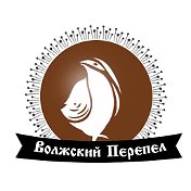 Вожский Перепел