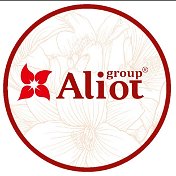 Aliot Group