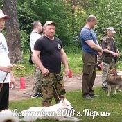 новиков валерий