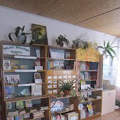 Лоховская Сельская библиотека