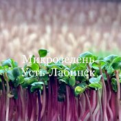Микрозелень Усть-Лабинск
