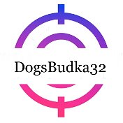 Будки для собак DogsBudka32