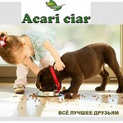Acari ciar в Сибири