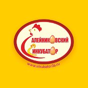 Алейниковский инкубатор