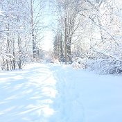 Талия Якубова  (Царбаева)