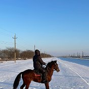 Али Салманович