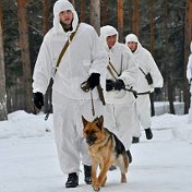 Сергей Александр Иванов