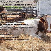 РАБОТА ВАХТА СЕВЕР