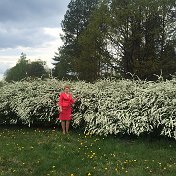 Валентина Долголевец (Сечко)