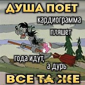 вася владов