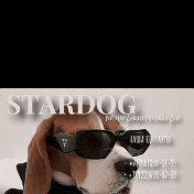 Евгений Корм Stardog