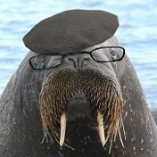 EOA WALRUS