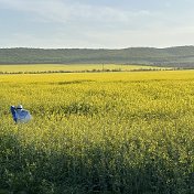 Поражений НЕТ ЕСТЬ ТОЛЬКО УРОКИ