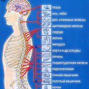 Джамиля Магомедова