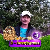 Андрей Николаев