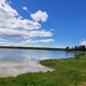 Наталья Сафошкина (Малявина)