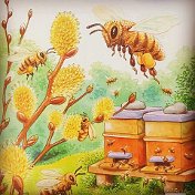 Bee Village