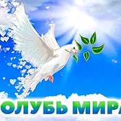 ✿ܓ ♕СВЕТА ☀Лучик╰დ╮❤️╭დ╯ﻉﻶ