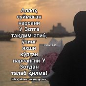 Жажигна фаршта Жажигина фаршта