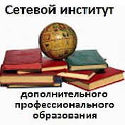 Сетевой институт ДПО