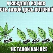 Ислам 👊