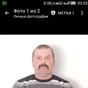 Анатолий Богозин