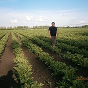 Страница памяти Дениса Гаврилина