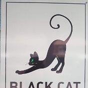 Мини гостиница Black cat 89144597287