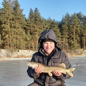 владимир погодин