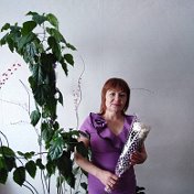 Елена Извекова(Казакова)