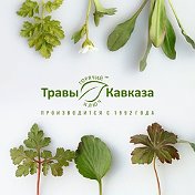 Менеджер Травы Кавказа