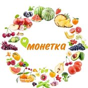 Светлана ТС Монетка