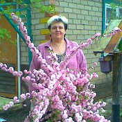 Марина Ягупова (Семина)