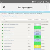 Universitet sinergiya test