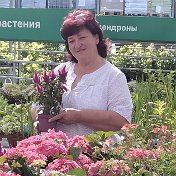 Елена Власова