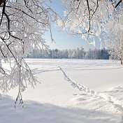 Сергей Сидельников